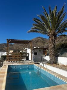 にあるVilla Capital Mountainviewのヤシの木を背景にしたスイミングプール