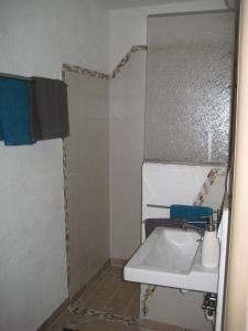 PontiCasa Greta - Ca di Patio的带水槽和淋浴的浴室