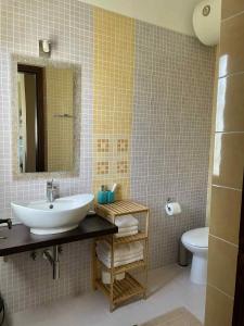 ein Badezimmer mit Waschbecken, Toilette und Spiegel in der Unterkunft Galini Estate in Kardítsa