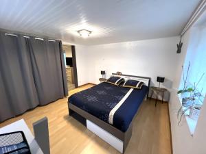 a bedroom with a king sized bed in a room at Chez Eliane in Bennwihr