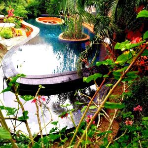 une piscine au milieu d'un jardin dans l'établissement The Haven 9 - Private group stay in Naivasha, à Munyu