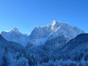 einen schneebedeckten Berg mit Bäumen im Vordergrund in der Unterkunft Milka Boutique Hotel in Kranjska Gora + 71 Fotos