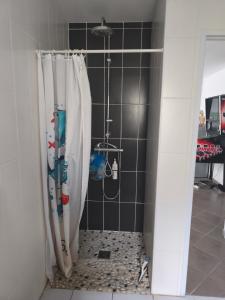 La salle de bains est pourvue d'une douche avec rideau de douche. dans l'établissement Chez celine, à Villieu