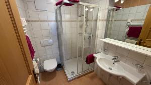 a bathroom with a shower and a sink and a toilet at Casa Carinthia in Samnaun