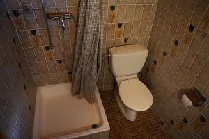 une salle de bain avec toilettes et douche dans l'établissement Chalet Rossier Mayens de Sion aux 4 Vallées, à Agettes 31 autres photos