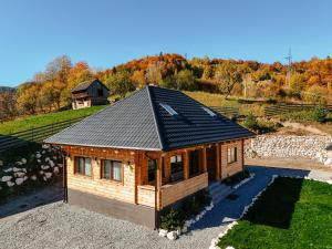 鲁克尔Rucăr Chalet的田野上黑屋顶的小房子