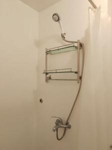 y baño con ducha de metal. en Albergo Hotel Unit near Wright Park, The Mansion, Minesview & Botanical Garden, en Baguio