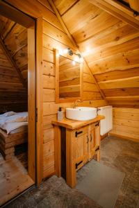 a bathroom with a sink in a log cabin at Rucăr Chalet in Rucăr +22 photos