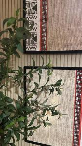 een plant voor een muur met een foto bij Najdeh Suite, our goal is to make you comfortable in Jeddah