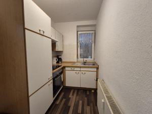 a small kitchen with white cabinets and a sink at Mikra Homes24 in Meerane in Meerane