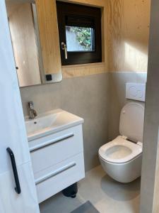 a small bathroom with a toilet and a sink at Tiny House The Wave in Ons Belang
