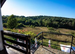 Příroda nedaleko prázdninového domu