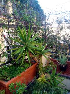 Ảnh trong thư viện ảnh của Bed and Breakfast La Terrazza ở Genoa