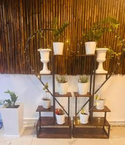 Φωτογραφία από το άλμπουμ του SET INN Restaurant & Bar στην Παραλία Κάτα