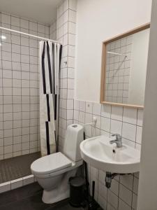 a bathroom with a toilet and a sink at Moderne Monteurzimmer in Bitterfeld in Bitterfeld
