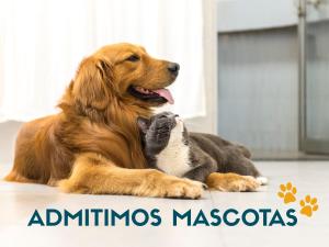 a dog and a cat laying on the floor at Apartamentos Doña Carmen 3000 in Oropesa del Mar