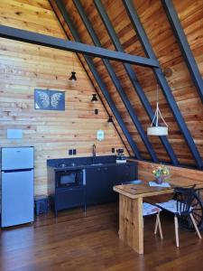 Η κουζίνα ή μικρή κουζίνα στο Chalé Encanto Do Lago