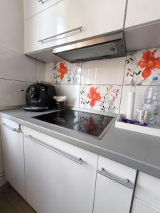 Køkken eller tekøkken på Lend Grand Apartment