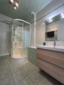 une grande salle de bain avec douche et lavabo dans l'établissement Grande maison secteur plan d eau, à Embrun