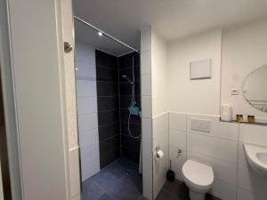 腓特烈港Deluxe Apartment Panoramablick的带淋浴、马桶和水槽的浴室