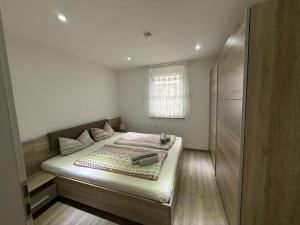 腓特烈港Deluxe Apartment Panoramablick的一间卧室，里面有一张床和一扇窗户。