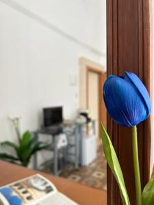 a blue flower is on the side of a door at stanza zaffiro azzurro in Ostuni