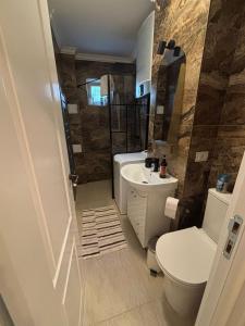 a bathroom with a sink and a toilet and a sink at Elena Apartament in Suceava