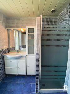 ein Badezimmer mit Waschbecken und Dusche in der Unterkunft Bel Air in Peyrusse-le-Roc