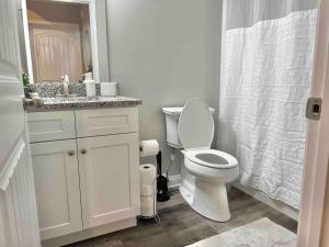 a bathroom with a toilet and a sink and a mirror at Modern 2bd 2ba - Near I75, No Steps, Free Wifi in Richmond +18 photos
