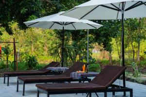 four lounge chairs and an umbrella on a patio at The Valley Lodge Trang An in Ninh Binh
