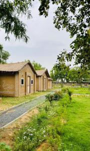 una hilera de edificios en un campo con césped en The hut house, en Jāmb