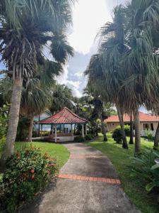 un sentiero attraverso un parco con palme e gazebo di Cocon Tropical a Sainte-Anne