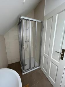 a shower with a glass door in a bathroom at Haevn Altes Pfarrhauss Marienfliess in Stepenitz