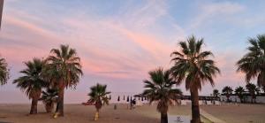 a group of palm trees on a sandy beach at Dimora Garibaldi Apartment & Room in Agrigento