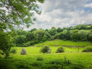 a field of green grass with trees in the background at 1 Bed in North Molton 96361 in North Molton