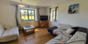 Landhaus auf der Alm في Langschlag: غرفة معيشة مع أريكة وتلفزيون