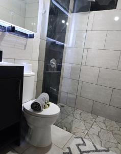 une salle de bain avec toilettes et douche dans l'établissement Coral House Fortuna, à Tanque