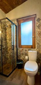a bathroom with a toilet and a shower at Casetta sull’Etna in Nicolosi