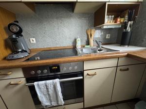 eine kleine Küche mit Spüle und Herd in der Unterkunft Alari Loft in Korbach