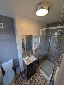a bathroom with a toilet and a shower and a sink at The Nook in Barnstaple