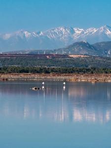 Příroda nedaleko kempu