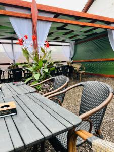 a picnic table and chairs under a tent at Cinema Villa Elena #1 in Dancu +23 photos