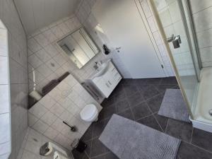 a bathroom with a toilet and a sink and a shower at Ferienwohnung Fehnzeit in Rhauderfehn