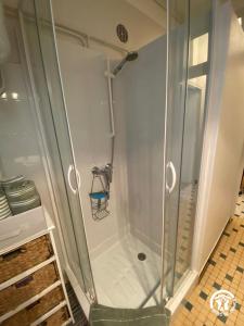 a shower with a glass door in a bathroom at Gîte de la Croix de l'Aveyron in Laguépie +15 photos