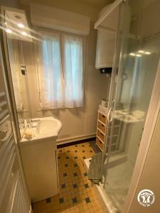 a small bathroom with a shower and a sink at Gîte de la Croix de l'Aveyron in Laguépie