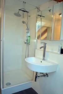 a bathroom with a sink and a shower and a mirror at Delfinia 
