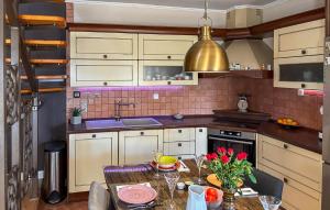 Köök või kööginurk majutusasutuses Amazing Home In Krasica With Wifi