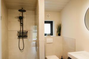 a bathroom with a shower and a toilet and a sink at Resort Wilsumer Berge in Wilsum +33 photos