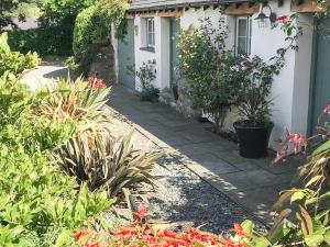 a house with a garden with plants in front of it at The Barn, Llanerch Y Felin in Rowen +7 photos