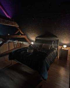 une chambre avec un lit noir dans une pièce sombre dans l'établissement LOVEROOM - Le pavillon des arômes, à Aiserey